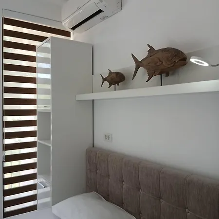 Oxygena5 ネプトゥン